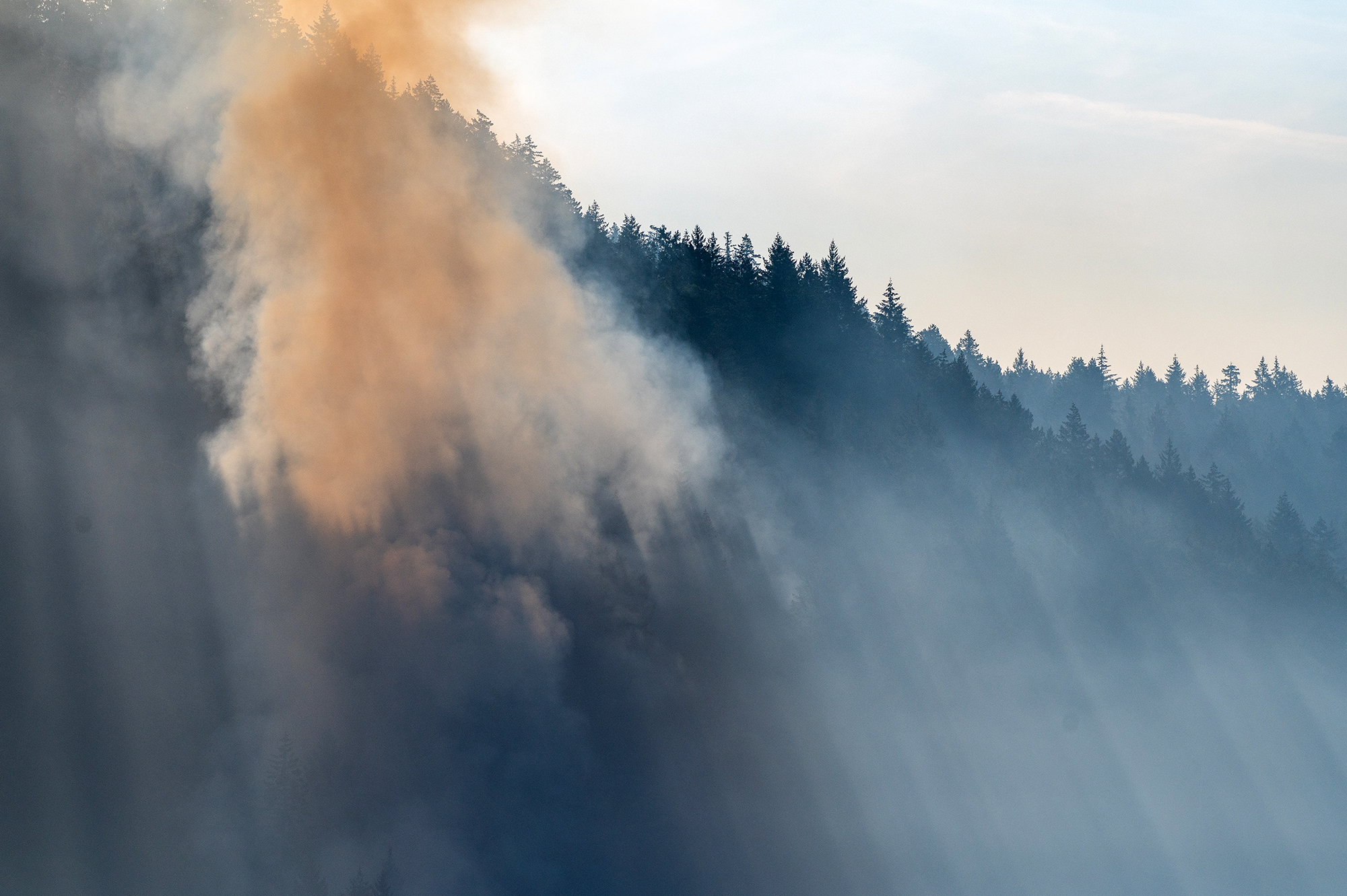 Climate experts: the Island’s early heatwave was notable, but not a major cause for concern