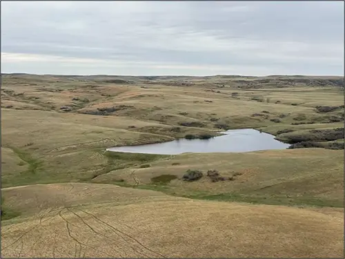 2025 waterfowl breeding survey