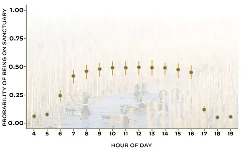 waterfowl sanctuary probability