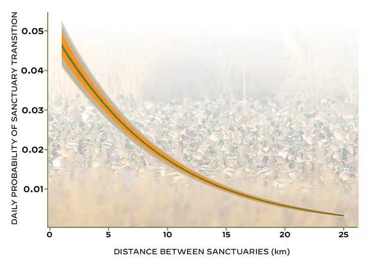 waterfowl probability sanctuary transition