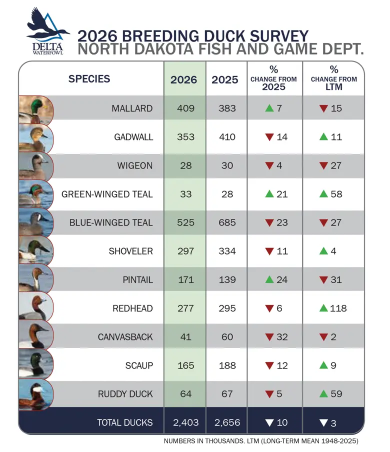 2026 North Dakota Breeding Duck Survey