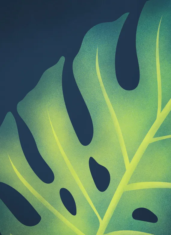 Tropical plant illustration