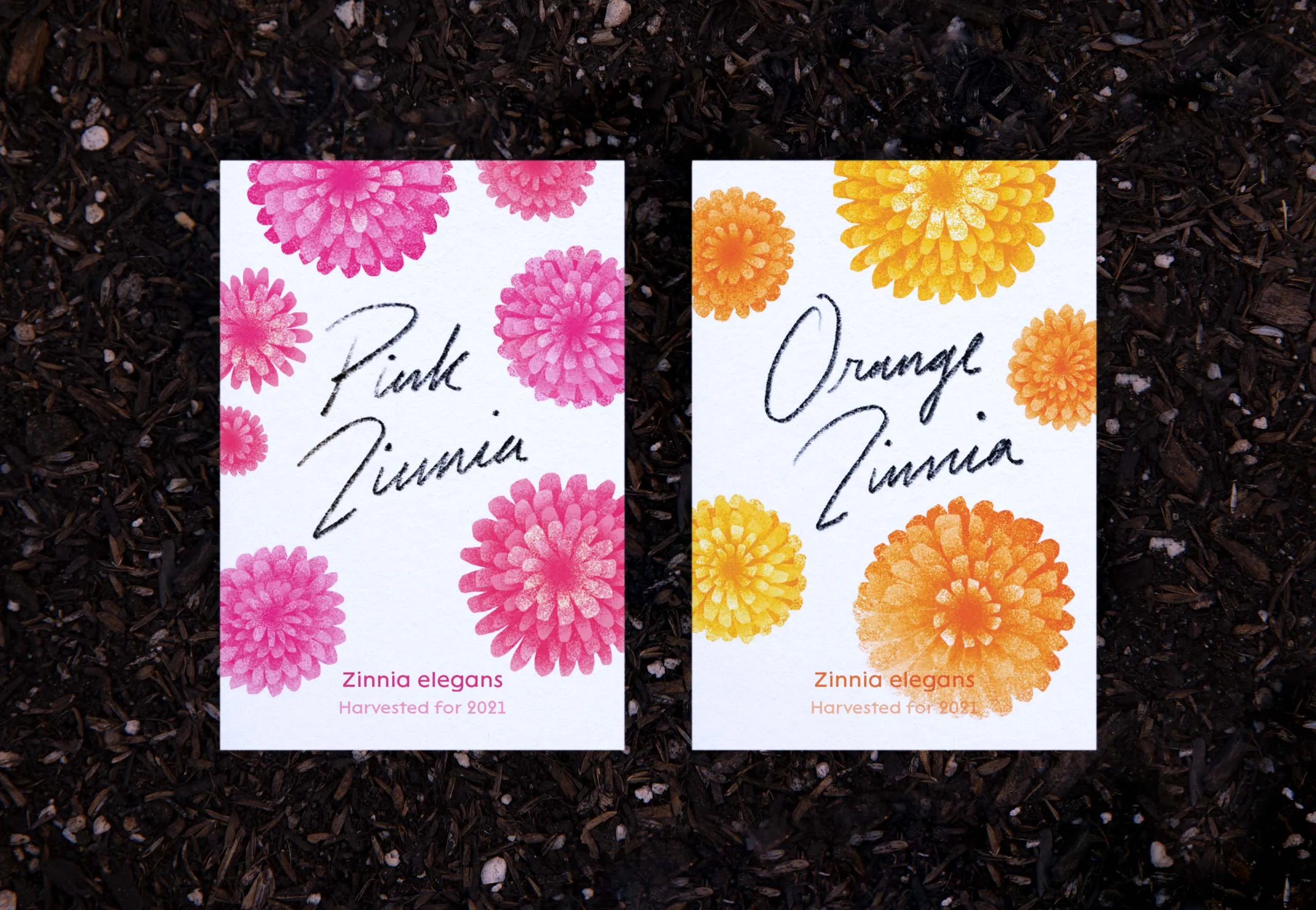Pink Zinnia and Orange Zinnia custom seed packets
