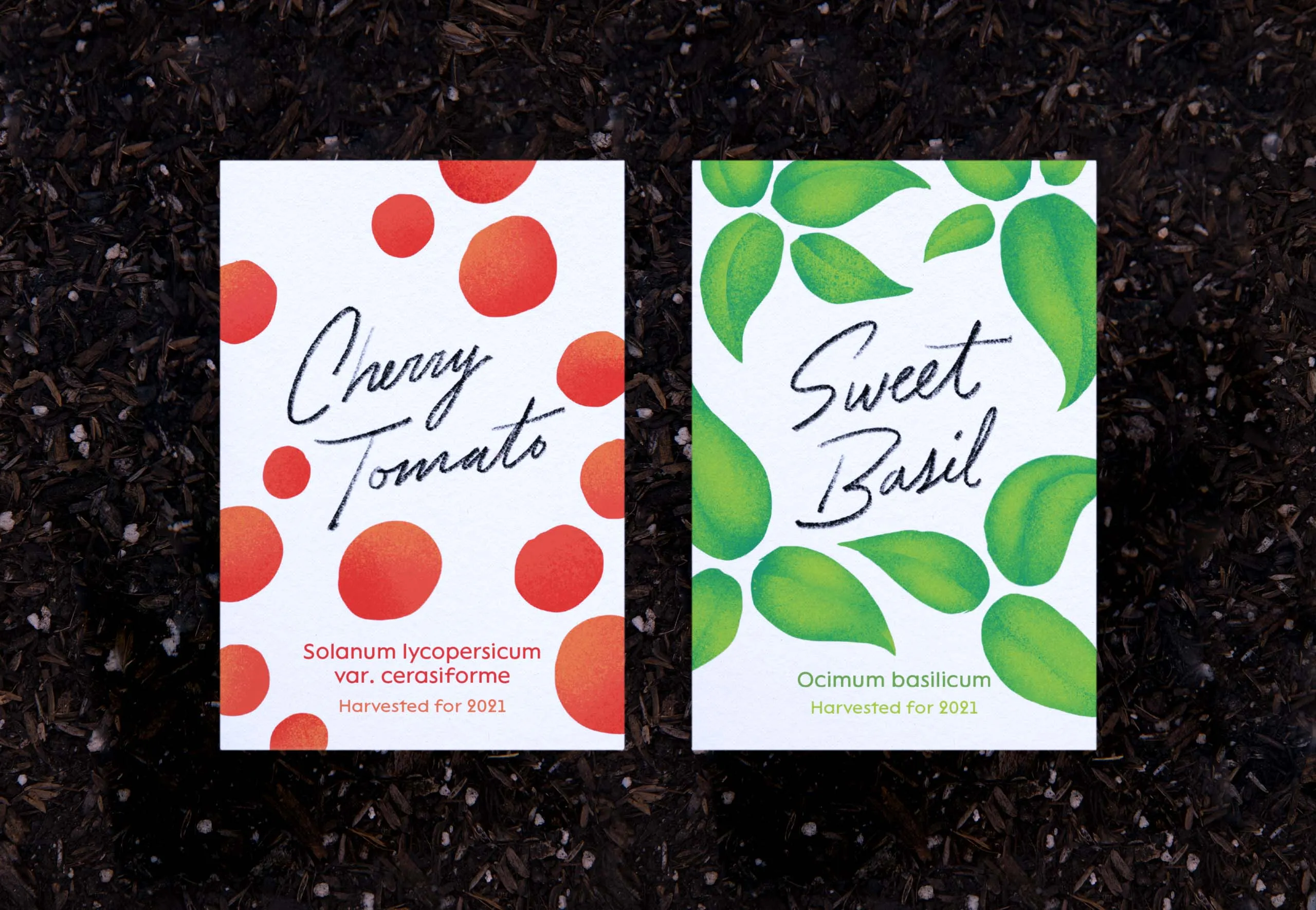 Cherry Tomato and Sweet Basil custom seed packets