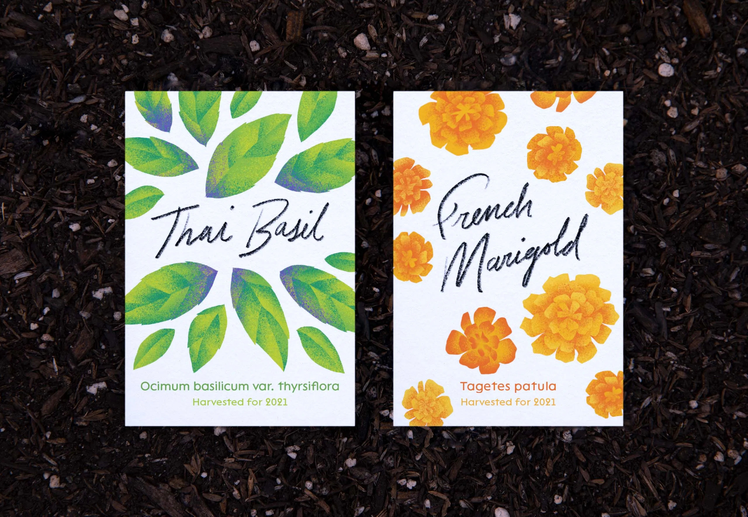 Thai Basil and French Marigold custom seed packets
