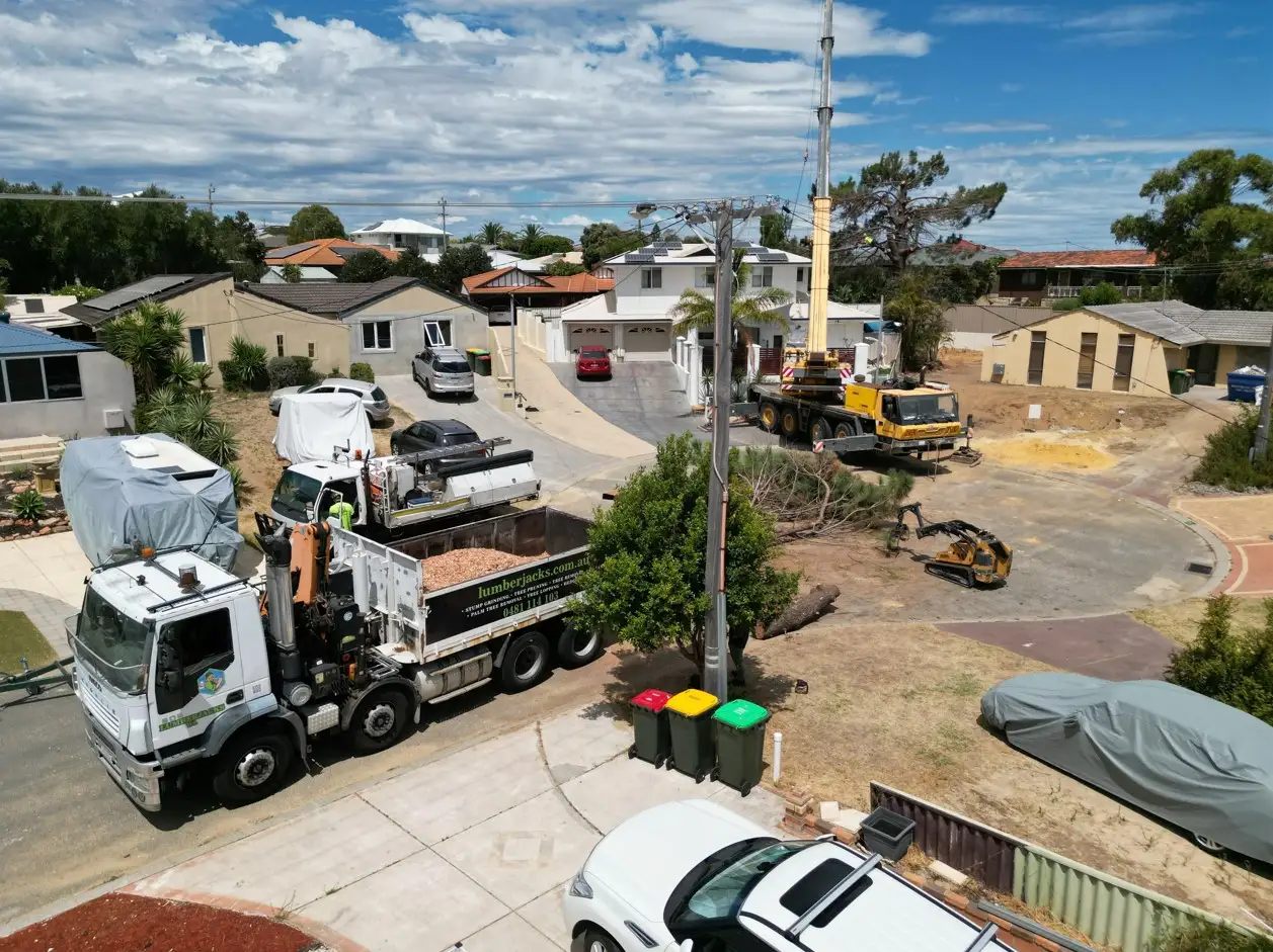 A residential street with workers using trucks, a crane, and an excavator to remove a large fallen tree. Several houses, parked cars, and green, yellow, and red garbage bins are visible under a partly cloudy sky.