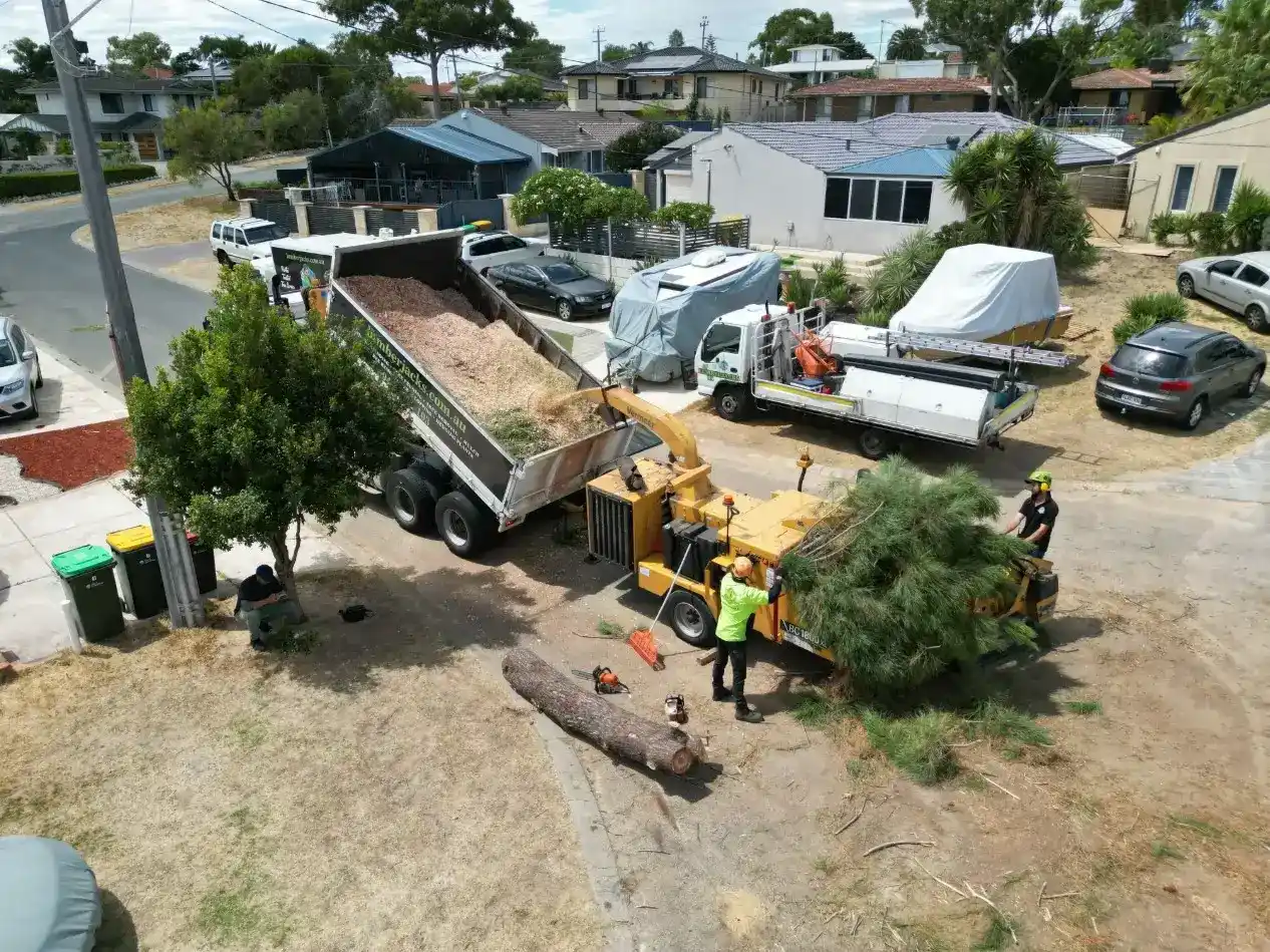 Workers use a wood chipper to shred tree branches, with wood chips being collected in a truck. Two large vehicles and covered cars are parked nearby in a suburban area.