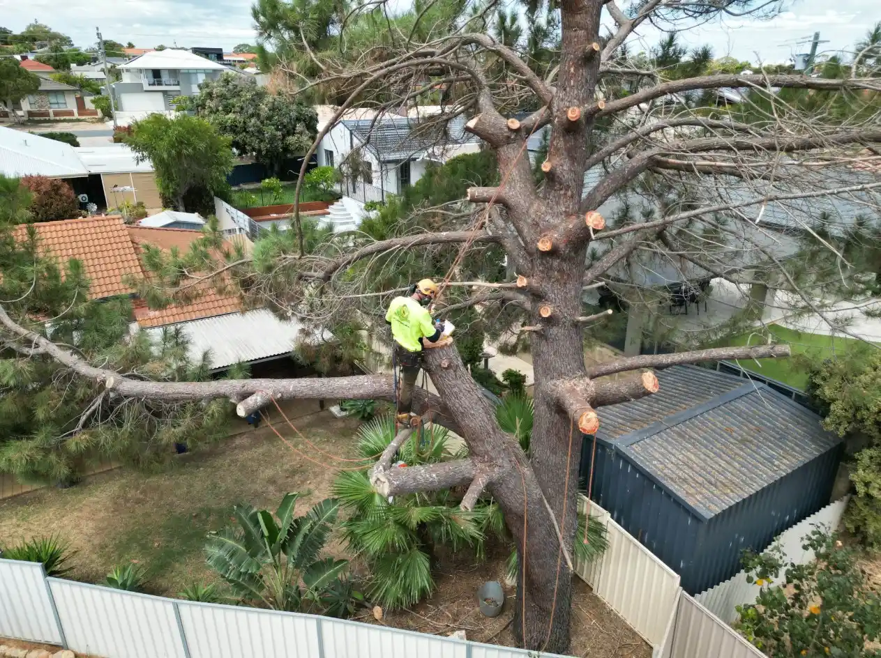 Workers use a wood chipper to shred tree branches, loading the debris into a large dump truck. Several utility vehicles and tools are nearby in a suburban neighborhood.