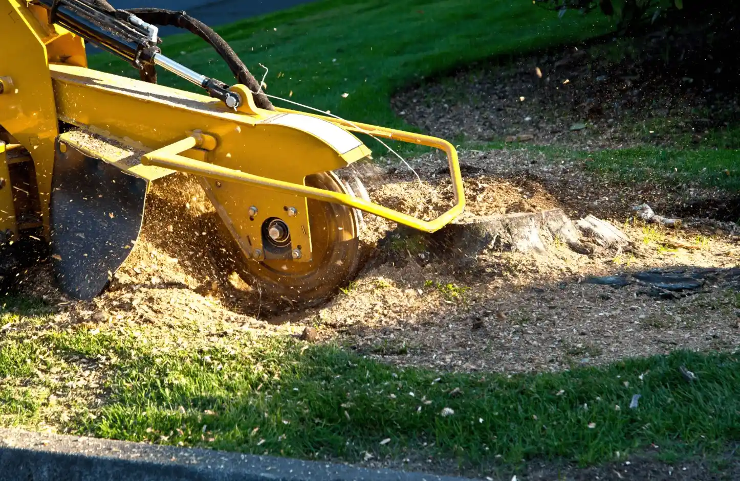 A yellow stump grinding machine grinds down a tree stump, sending wood chips and debris flying across a grassy lawn in bright sunlight.