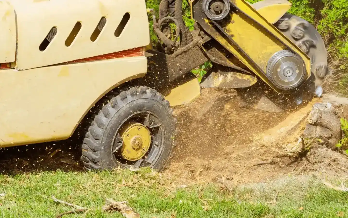 A yellow stump grinding machine is grinding a tree stump in a grassy area, creating wood chips and sawdust as it removes the stump.