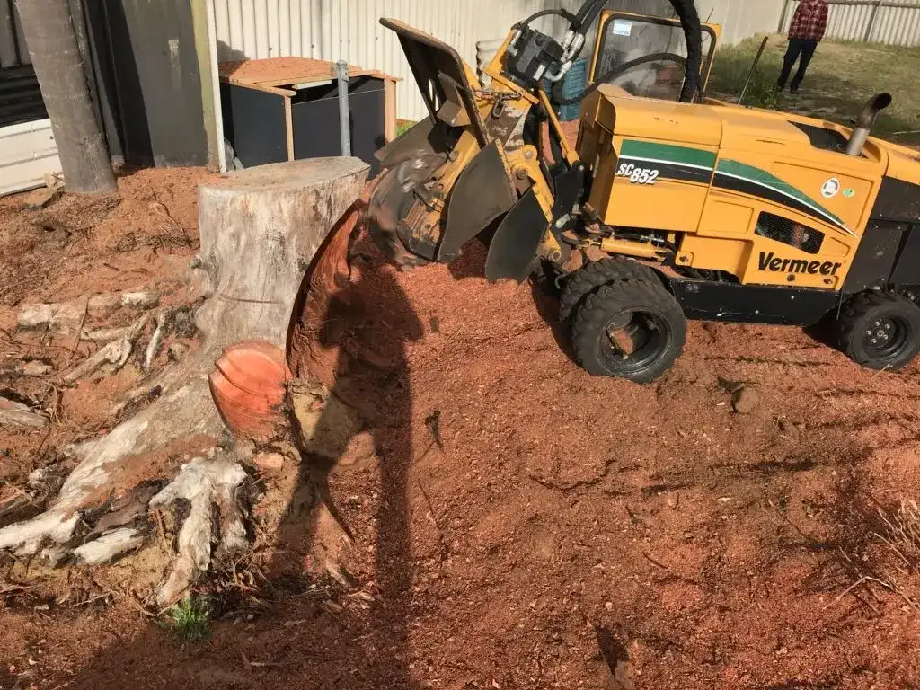 A yellow Vermeer stump grinder works on a large tree stump surrounded by red dirt. The shadow of a person taking the photo is visible in the foreground. A small building and another person are in the background.