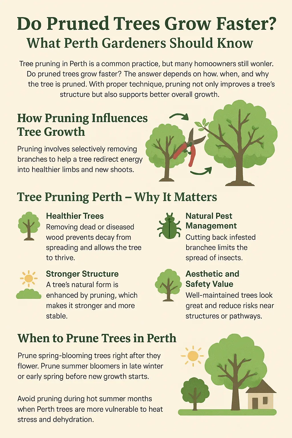 An infographic titled Do Pruned Trees Grow Faster? What Perth Gardeners Should Know explains benefits of tree pruning, including healthier trees, stronger structure, pest control, safety, and ideal pruning times with illustrated icons.