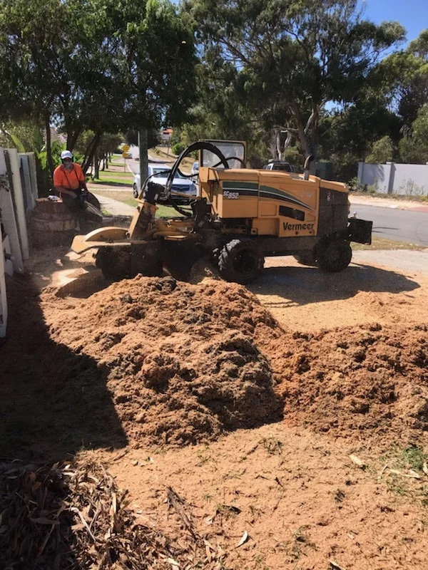 A worker in an orange vest operates a yellow Vermeer stump grinder, grinding a tree stump near a sidewalk. Piles of wood chips and sawdust are scattered around, with trees and a street visible in the background.