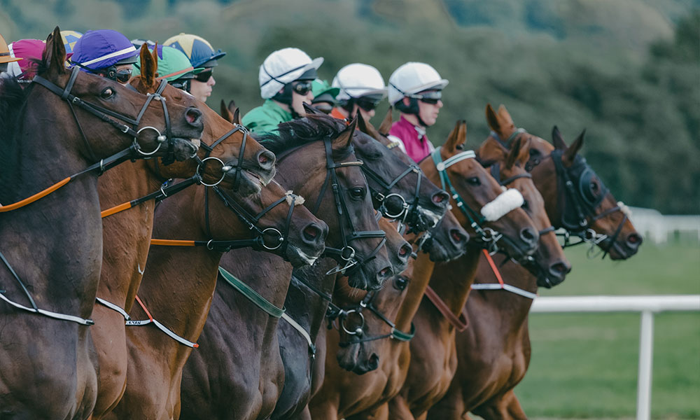 Northern Belle Cheltenham Gold Cup Luxury Train Journey