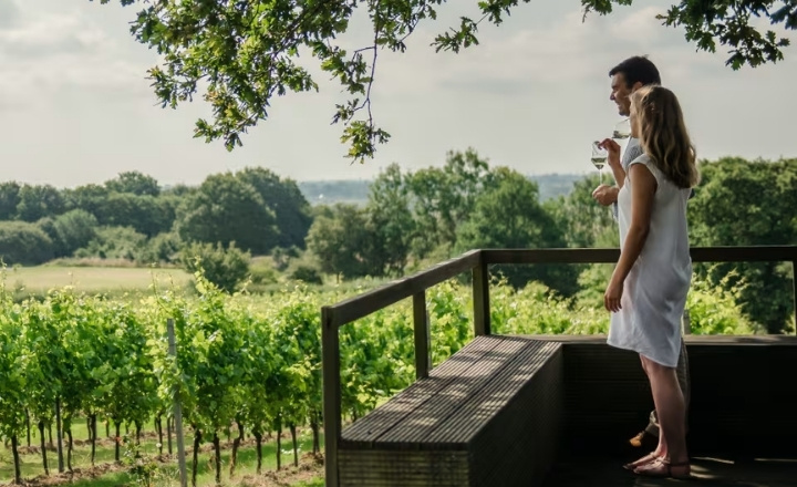 Gusbourne Winery Luxury Train Journey