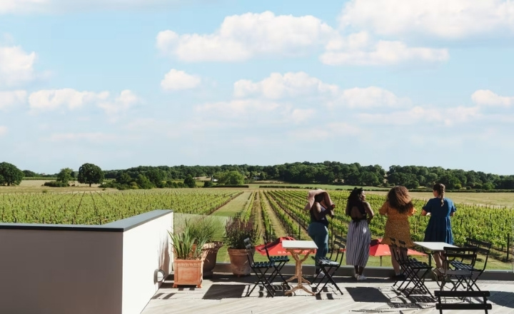 British Pullman - Balfour Winery