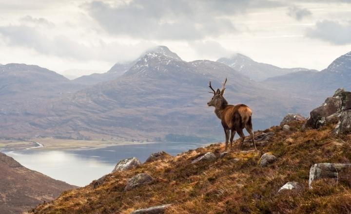West Highland Train Journey