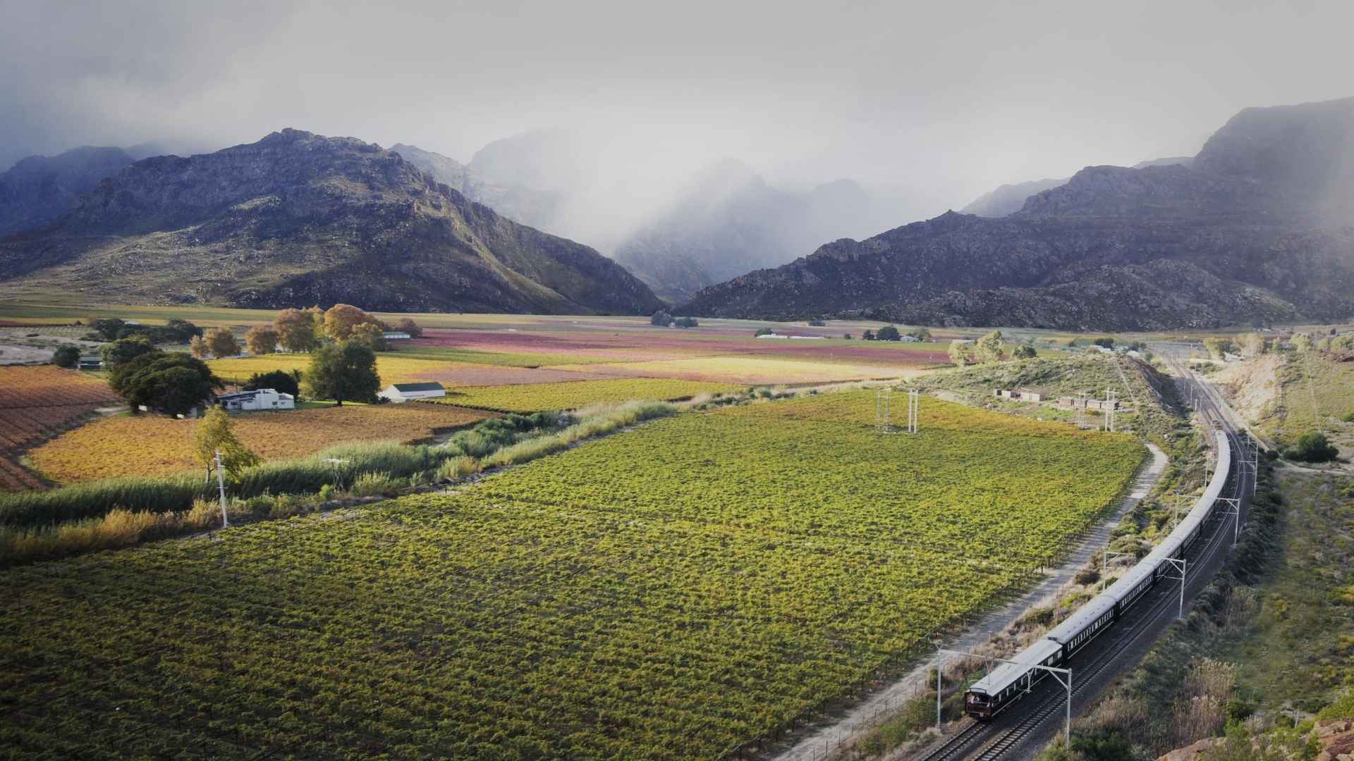 30 Reasons Why Rovos Rail is the Most Luxurious Train in the World