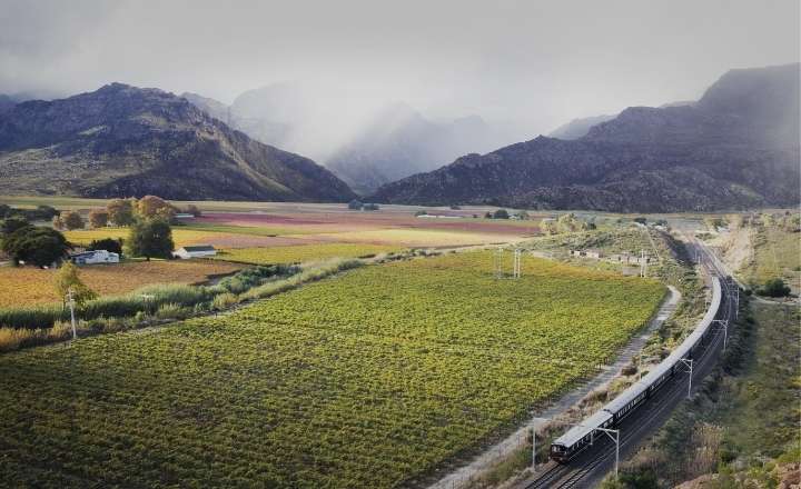 30 Reasons Why Rovos Rail is the Most Luxurious Train in the World