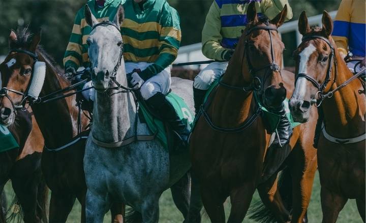 Northern Belle to Royal Ascot