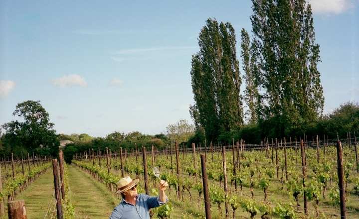 Westwell Wine Estate