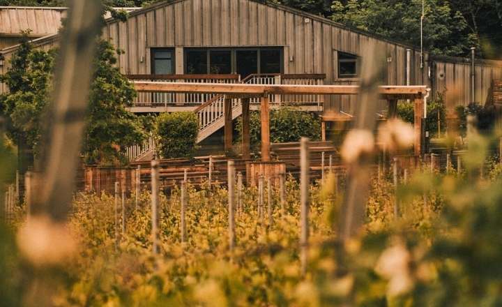 Nutbourne Winery
