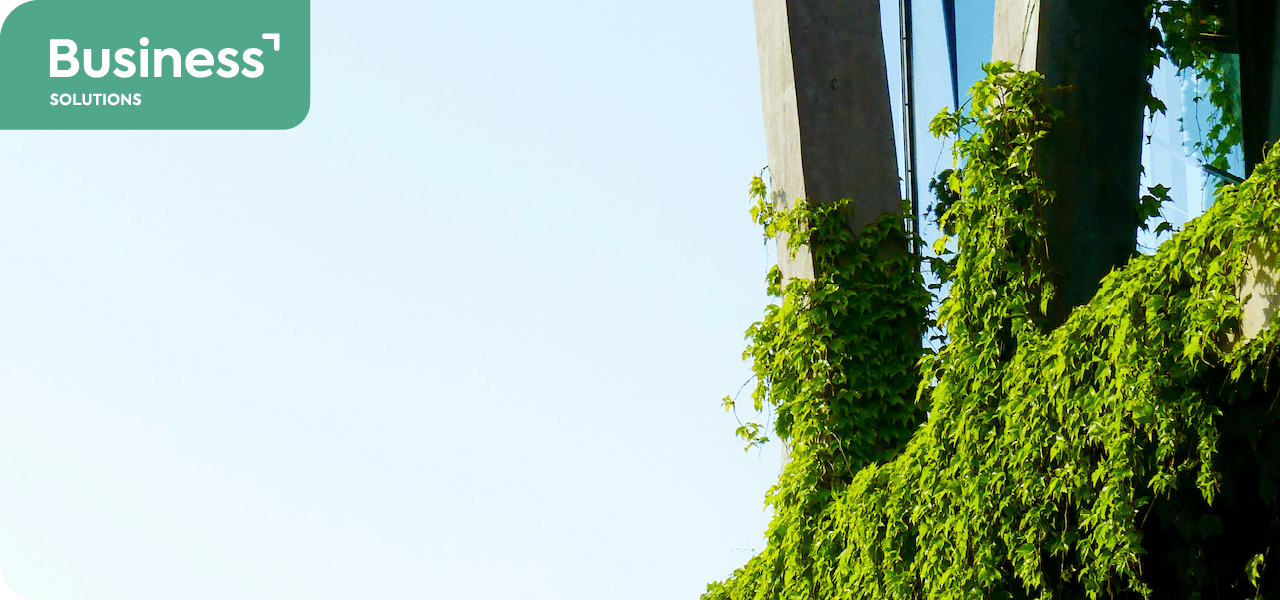 Servicios REMS: Business Solutions