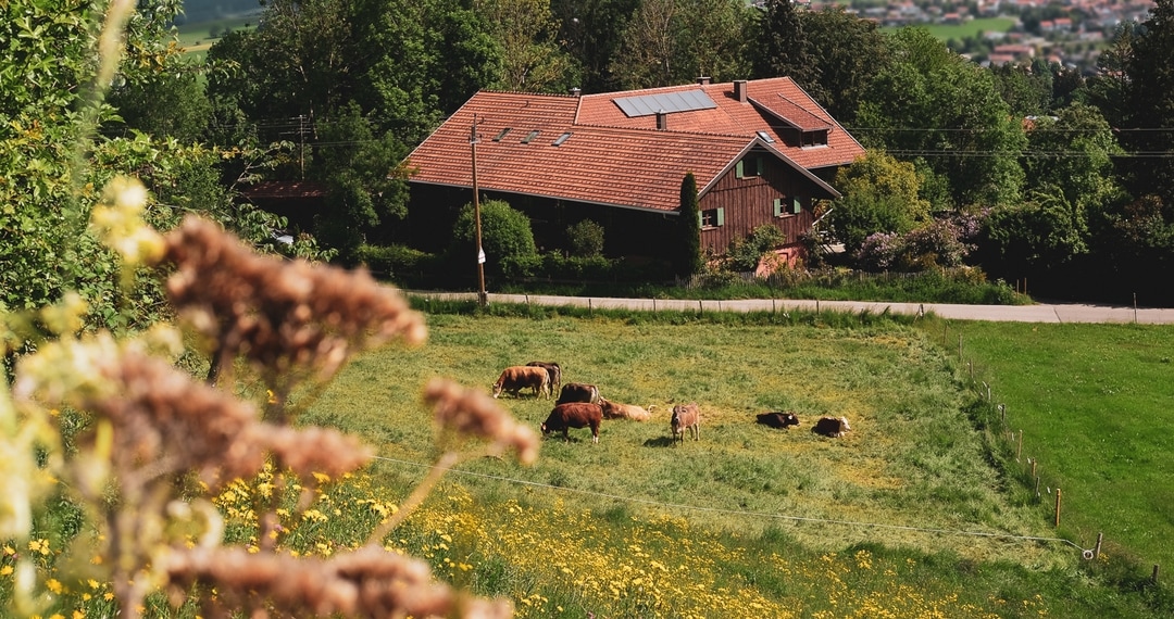 ROSSO Haus & Hof — photo 2