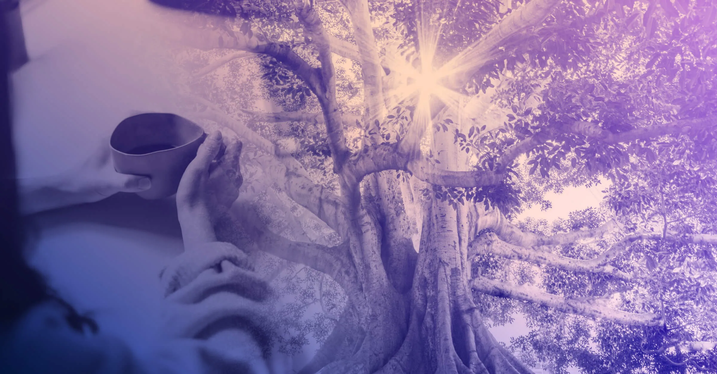 Image used as a link