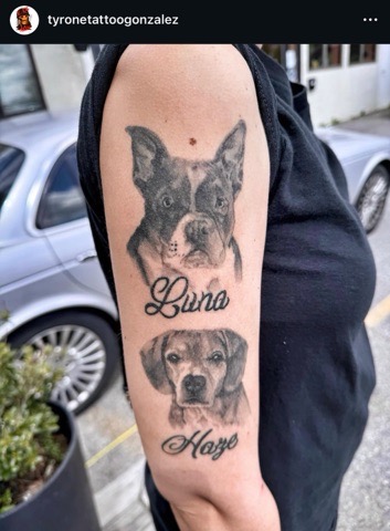 Tattoo on a person's upper arm featuring realistic black and gray portraits of two dogs; the top dog resembles a Boston Terrier labeled 'Luna' and the bottom dog resembles a Labrador mix labeled 'Haze.'