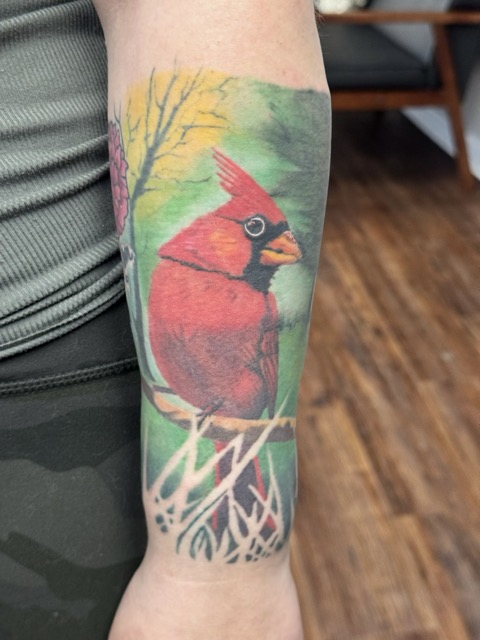 Colorful tattoo of a red cardinal bird perched on branches with greenery and a sunset sky background on a person's forearm.