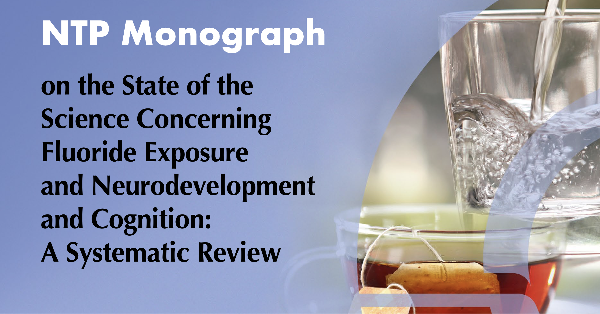 close up of dental filling