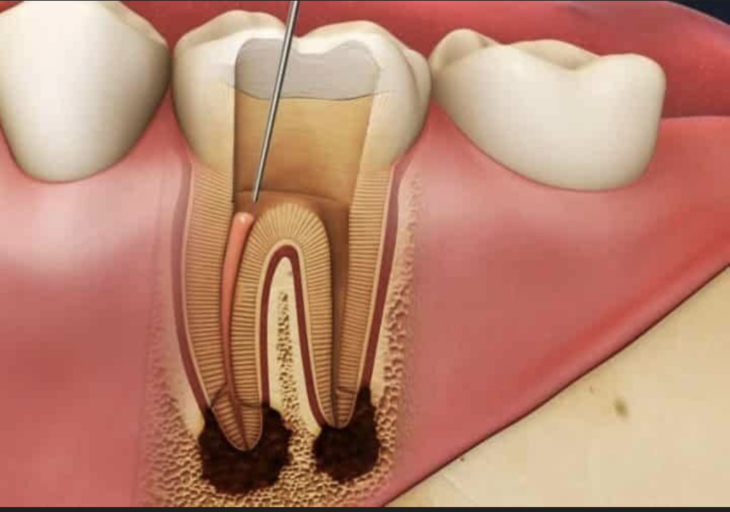 a person holding up a crown