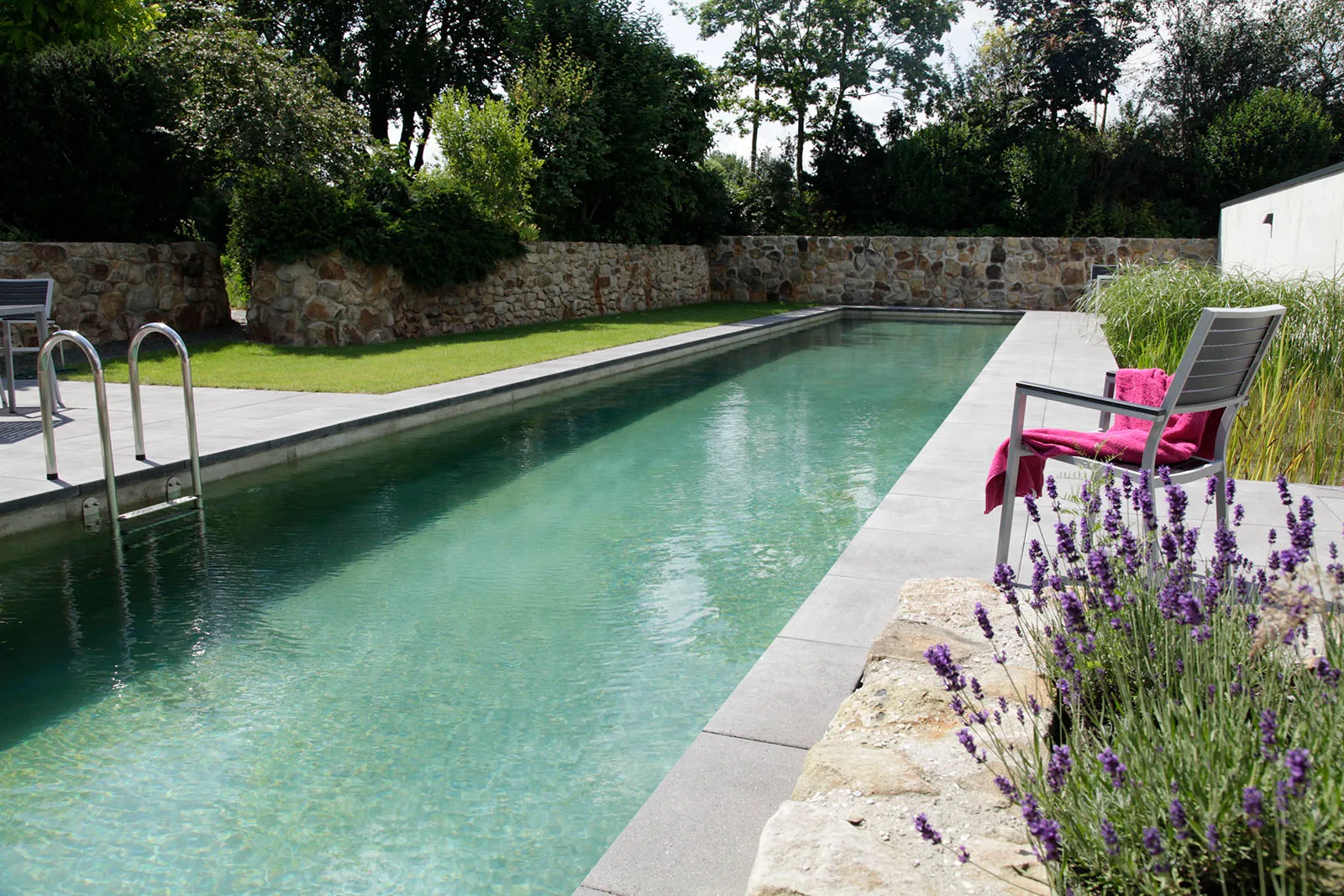 chemical free living pool 