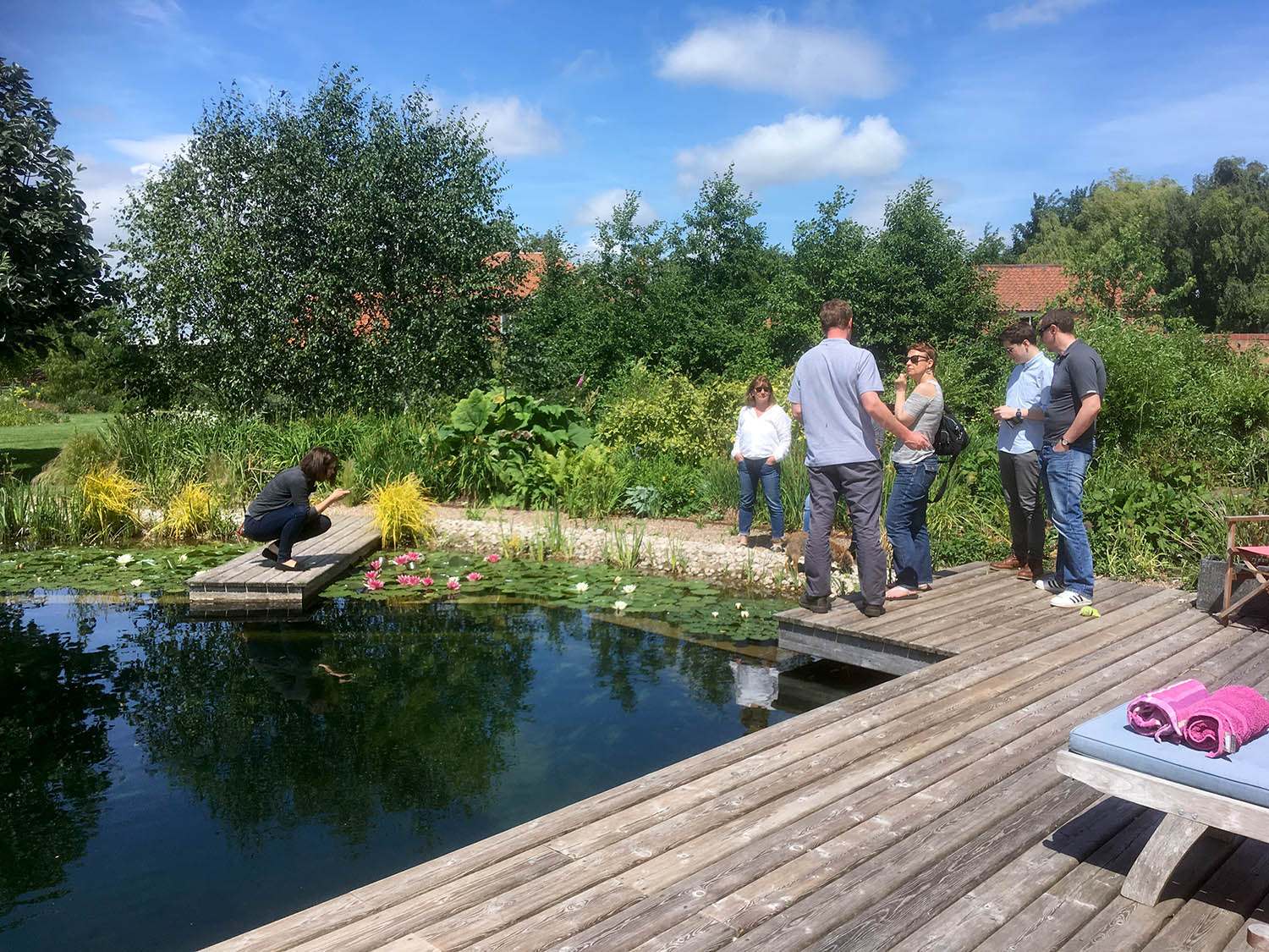 natural pool consultation and CPD