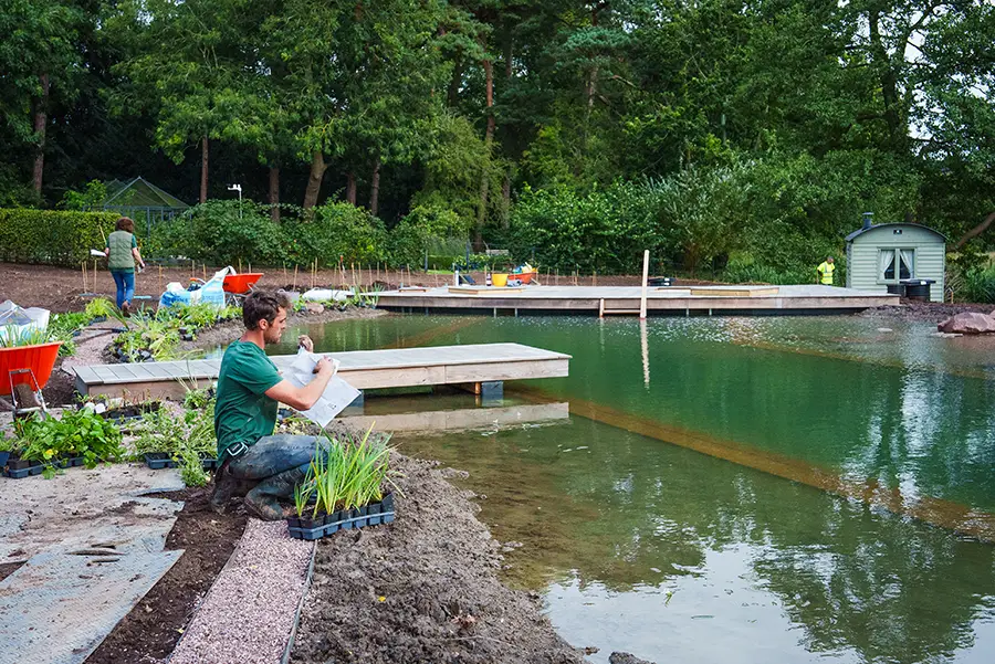 Pool planting