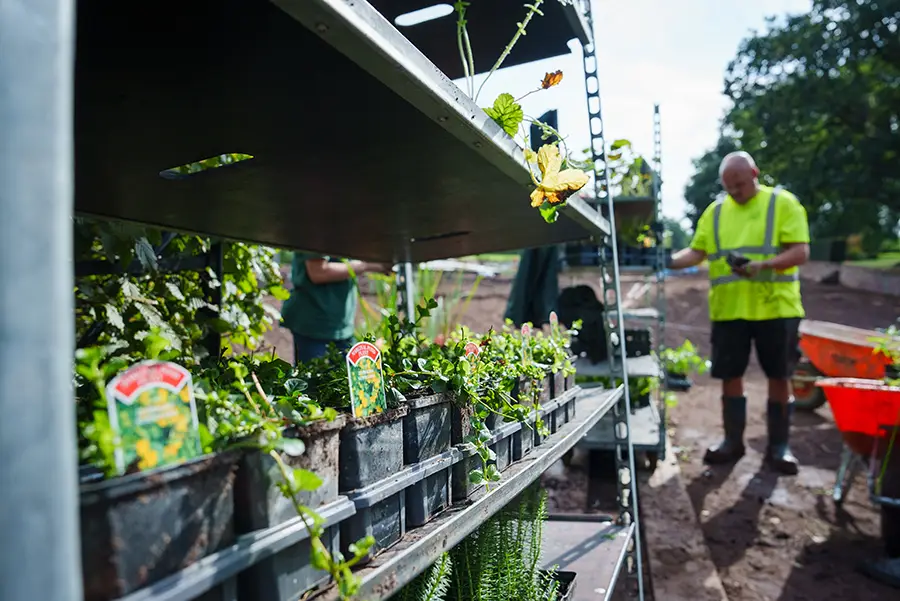 Plants on racks