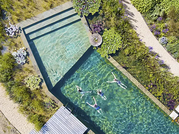 Natural Swimming Pool overhead