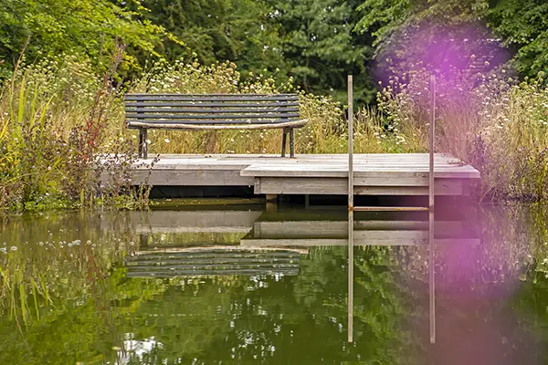 Natural Swimming Pond