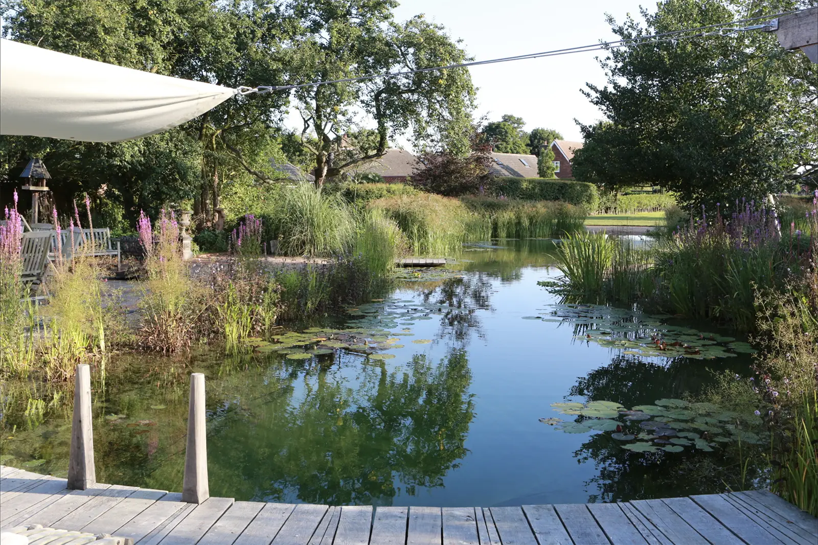 Nottingham Natural Pool
