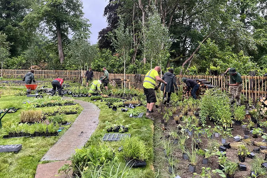 Garden planting