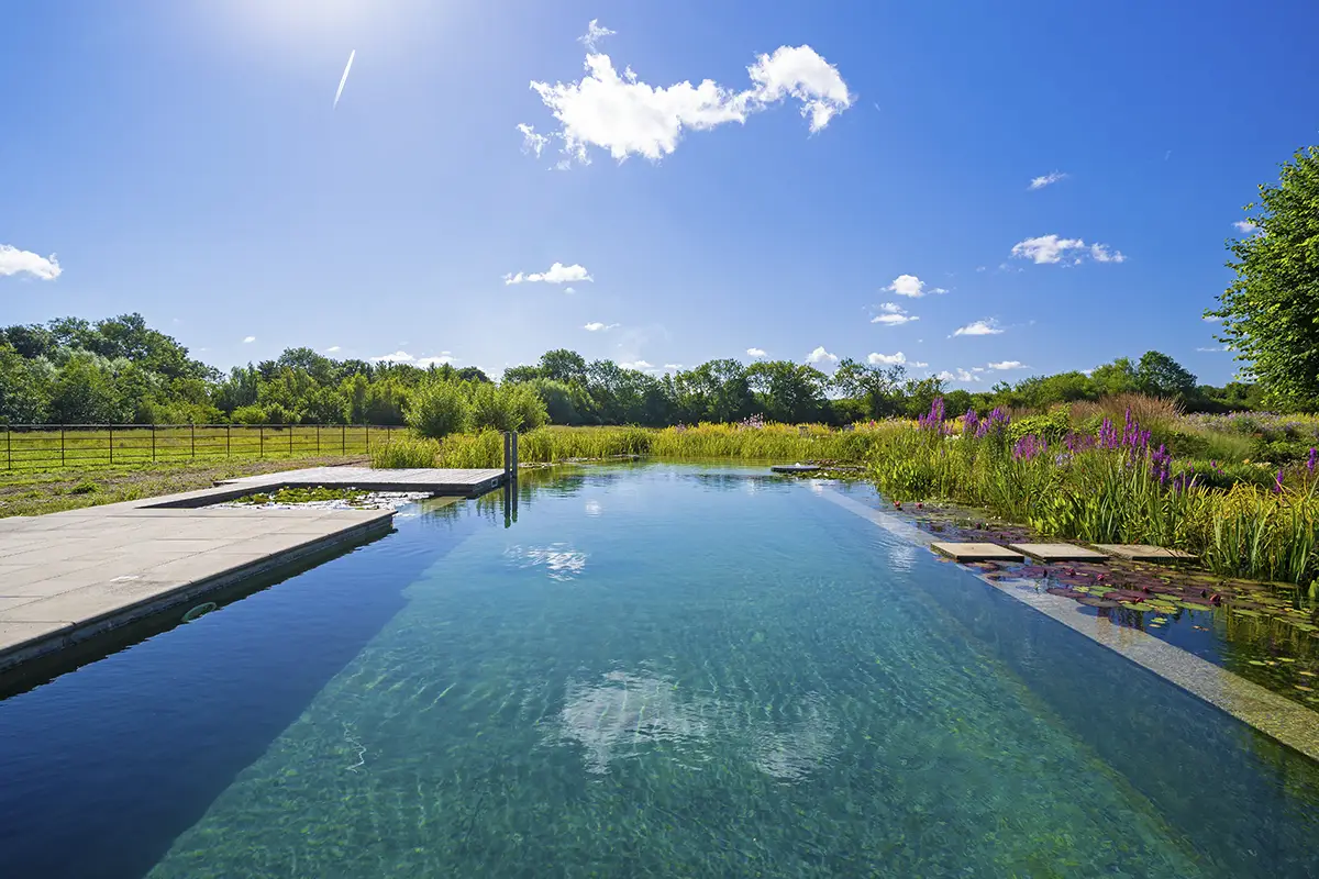 Natural Swimming Pool