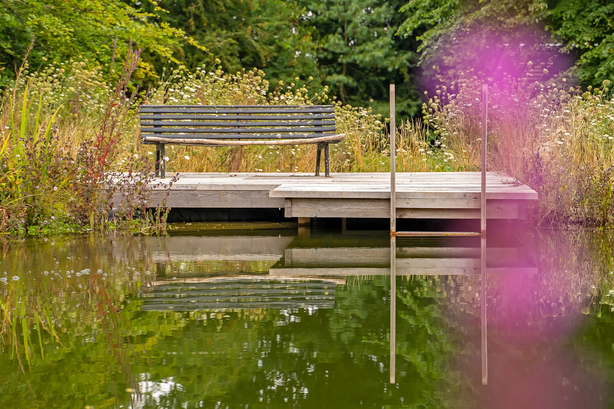 Swimming Pond