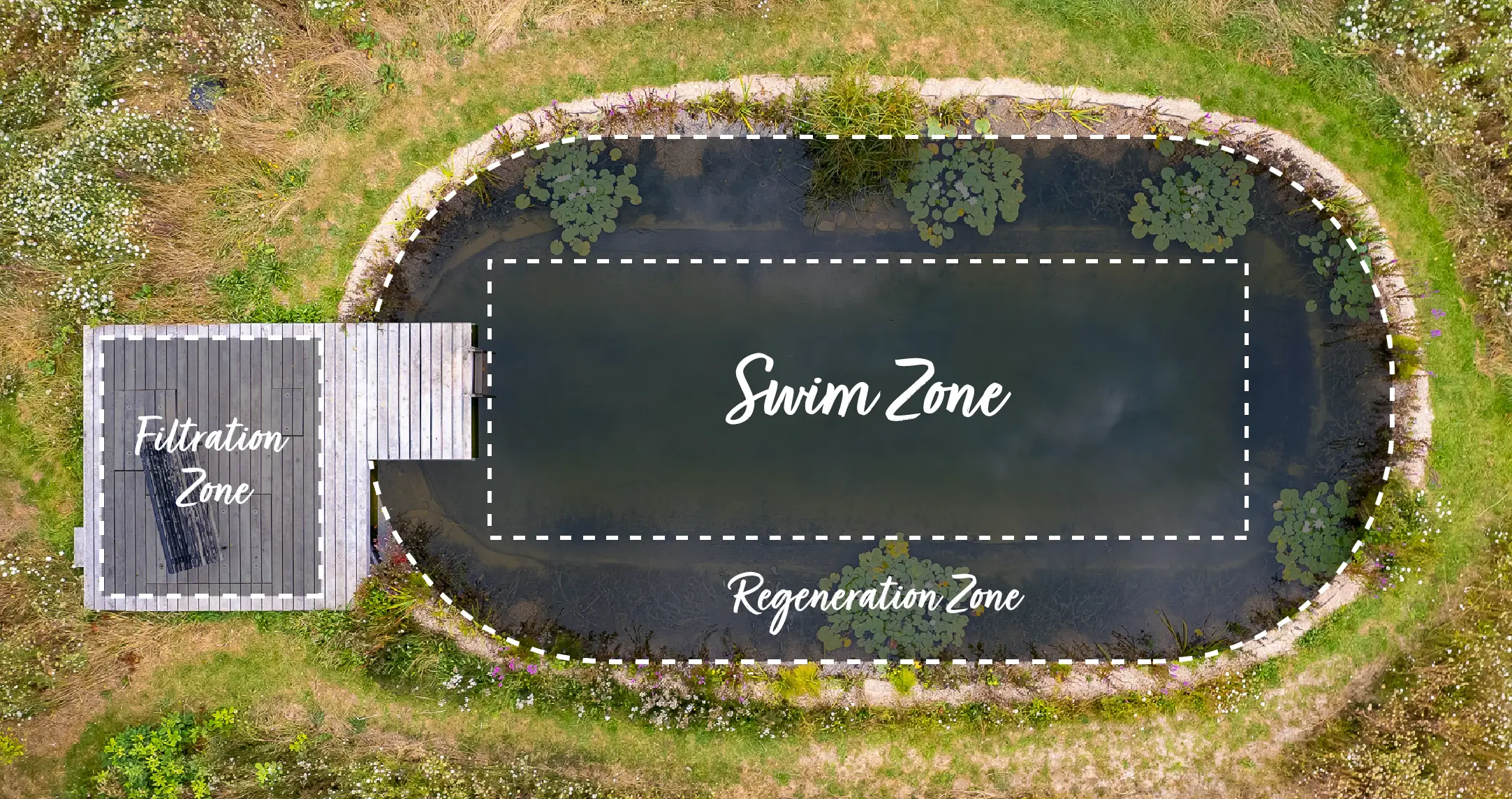 Swimming Pond Zones