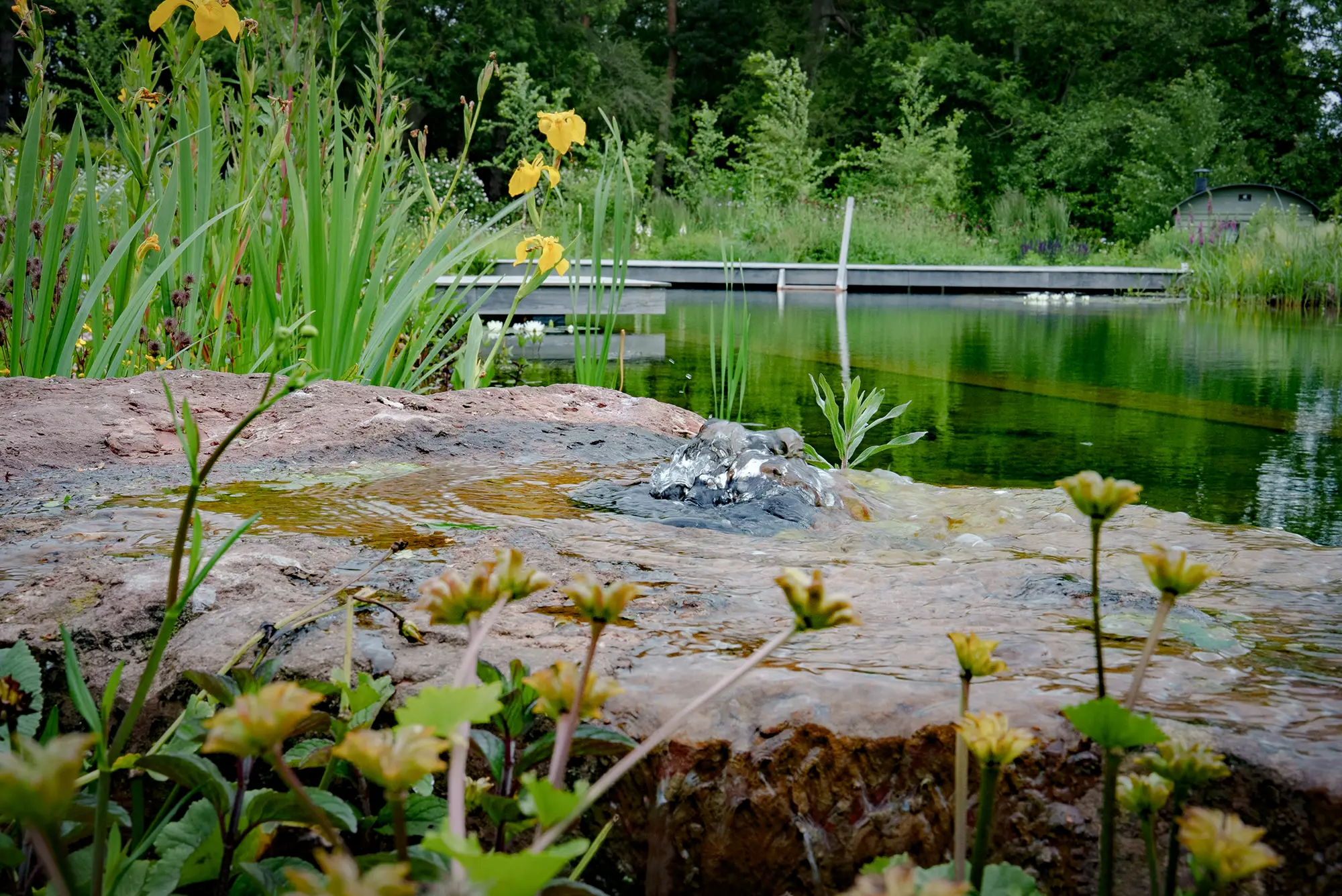 Swimming Pond Water Feature