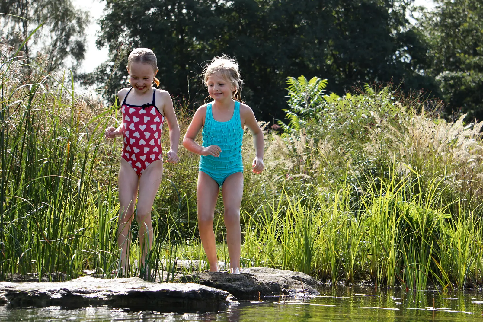 Stepping Stones Ellicar
