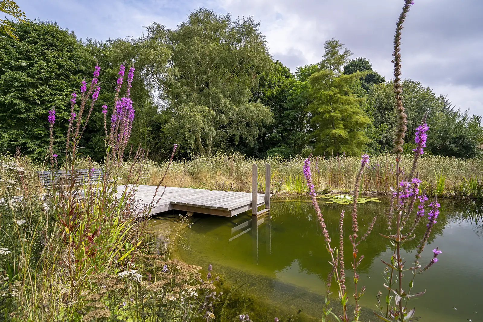 Swimming Pond Ladder