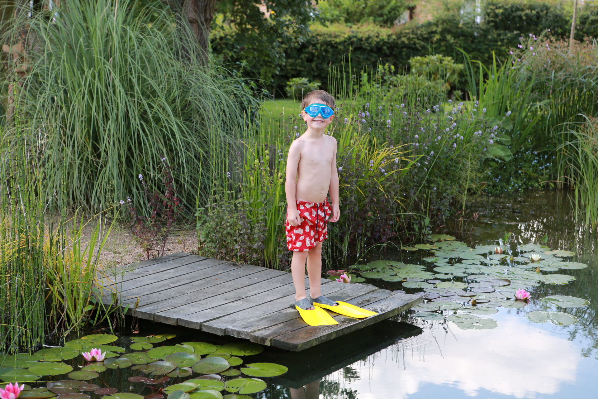Natural Pool Jetty