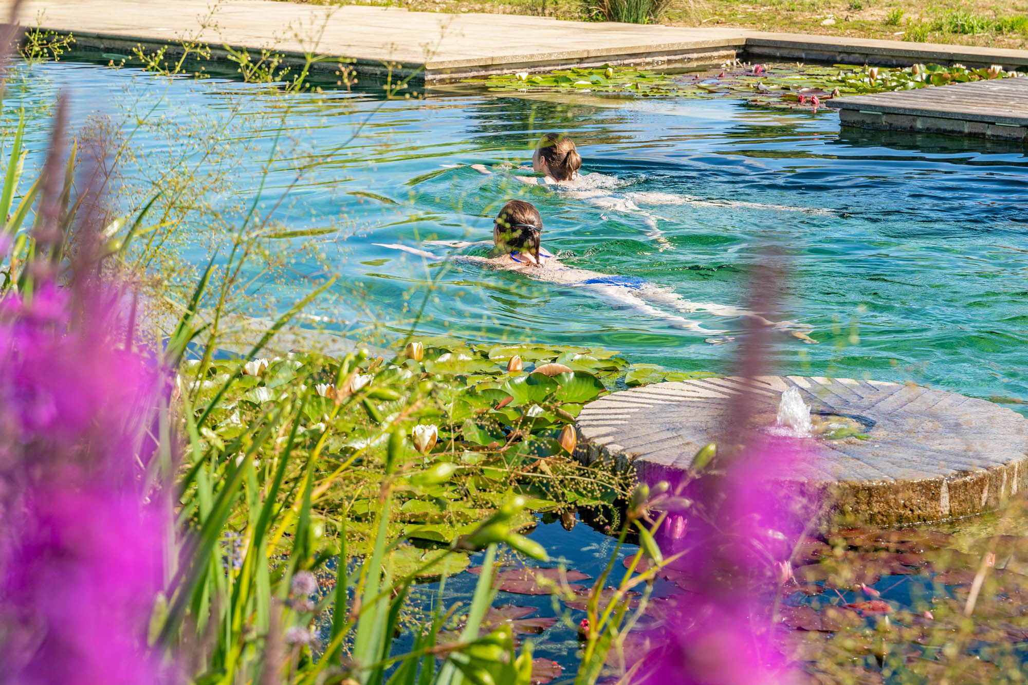 Swimming and Mill stone