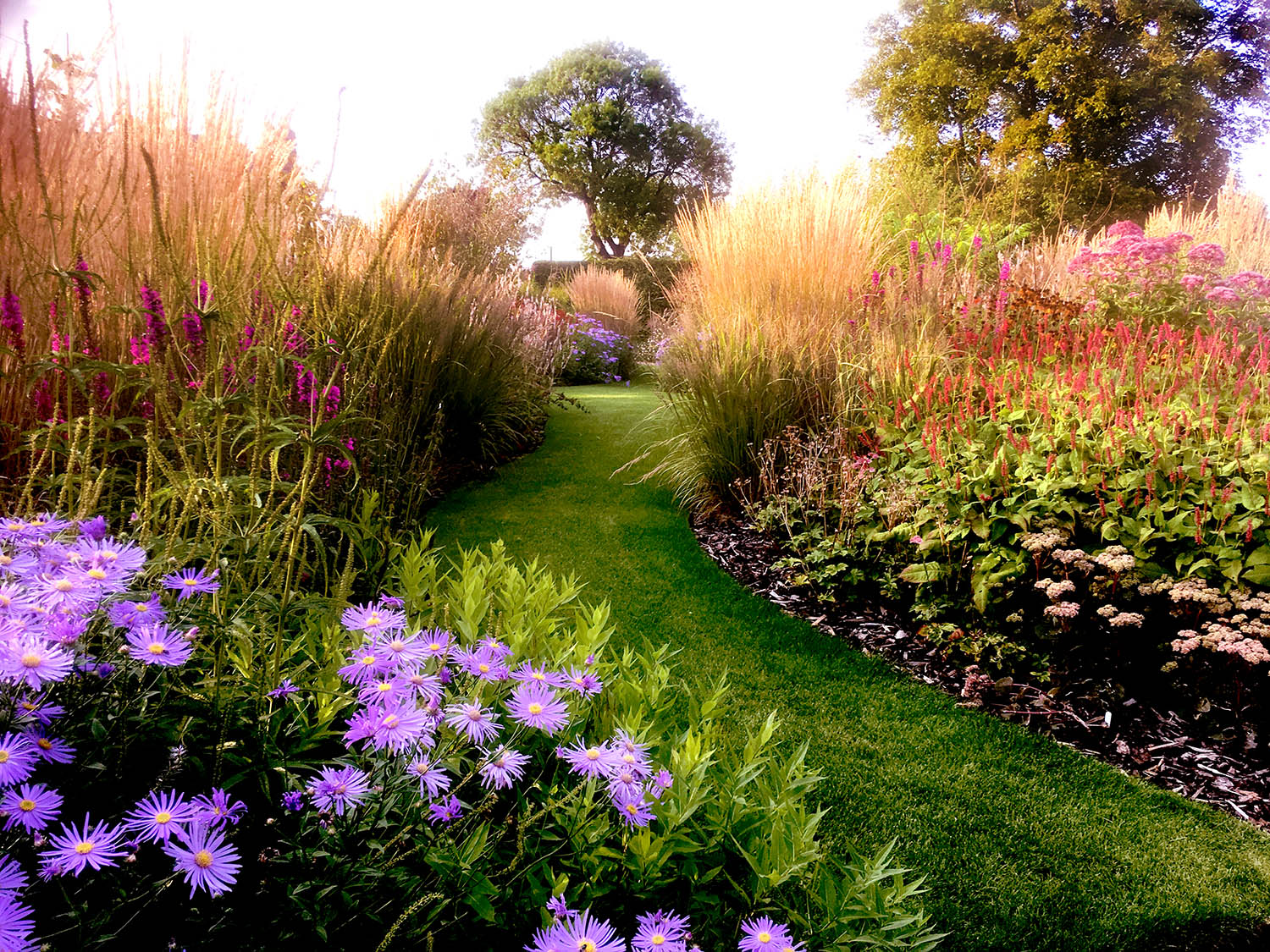 Naturalistic borders
